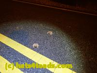 /home//u458753944/public_html/sourcegallery//Roxborough Toad Detour/2022/2022-03-07/P3070836.JPG